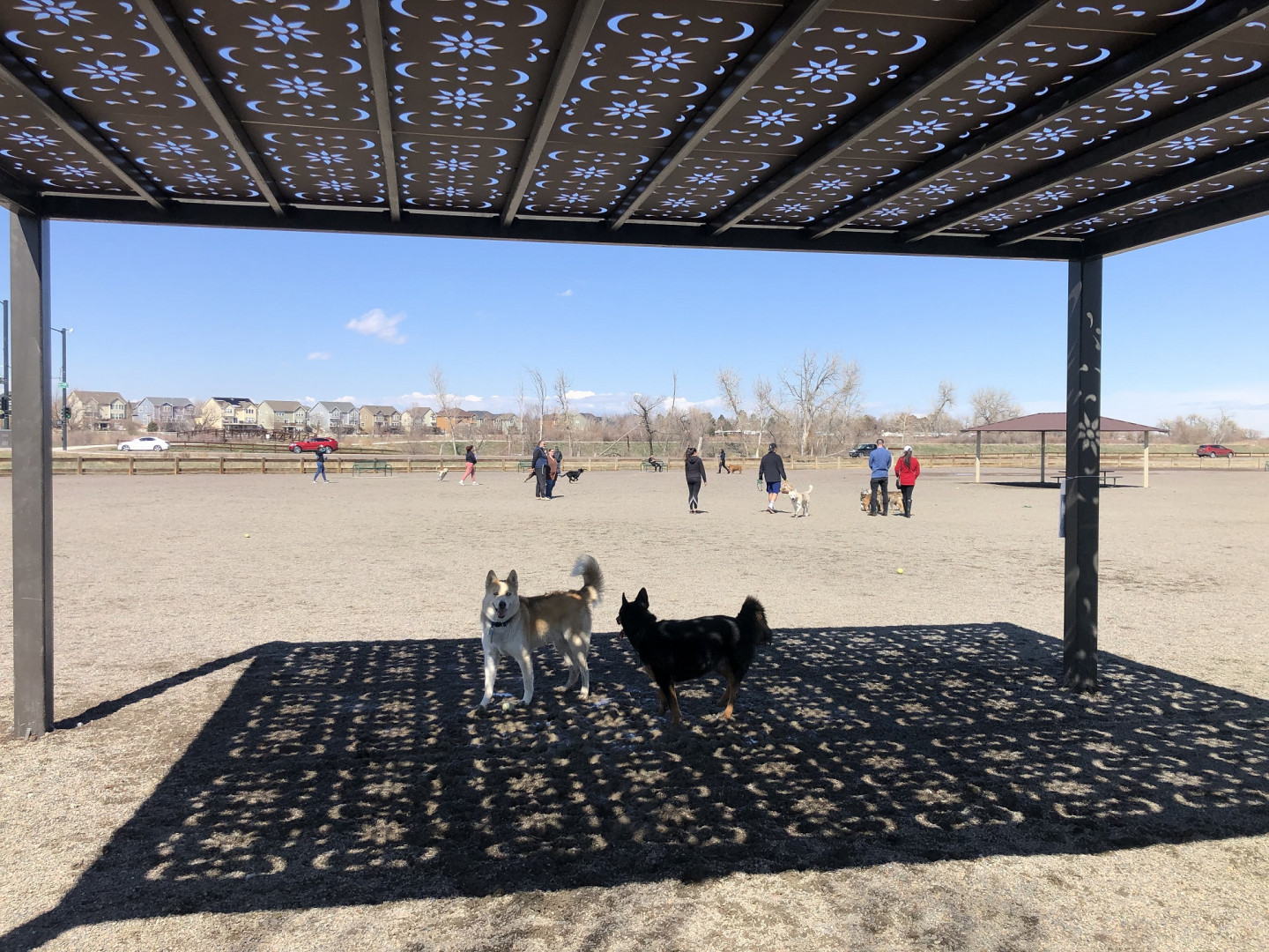 Westminster Dog Park