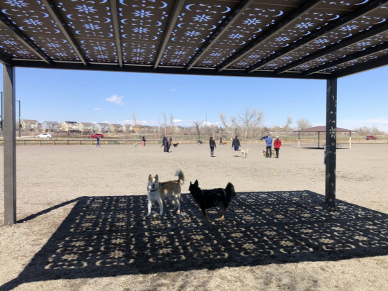 Mission© in a real-world application