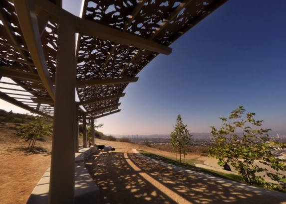 Winter Branches© in a real-world application