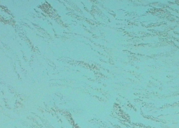 Parasoleil™ Panels in use for the 147 W 22nd Street case study