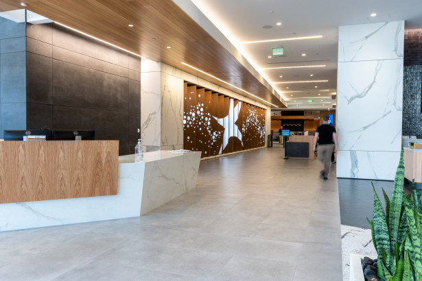 Parasoleil™ Panels in use for the DaVita Gallery Wall case study