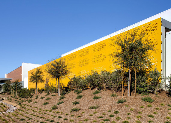 Featured image for the Parasoleil™ "Logan Memorial Education Complex" Case Study