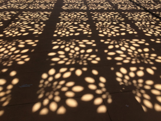 Parasoleil™ Panels in use for the Poway Library case study